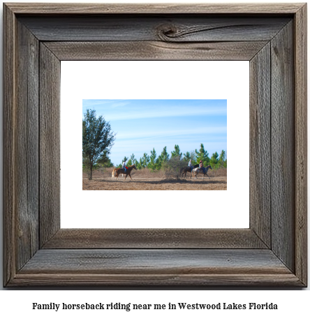 family horseback riding near me in Westwood Lakes, Florida